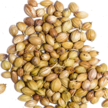 বিলাতি ধনিয়া বীজ, coriander seeds, False Coriender seeds, Eryngium seeds, Eryngo seeds, বাংলা ধনিয়া বীজ, bilati dhonia bij,bangla dhonia bij