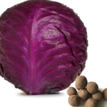 Red Cabbage Seeds (30 Pcs)/লাল বাঁধা কপি বীজ (৩০ টি)